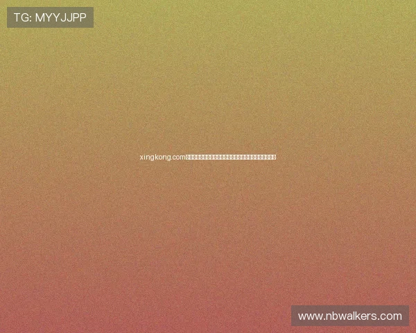 xingkong.com：打造智能空中生态系统推动无人机技术的快速发展与应用